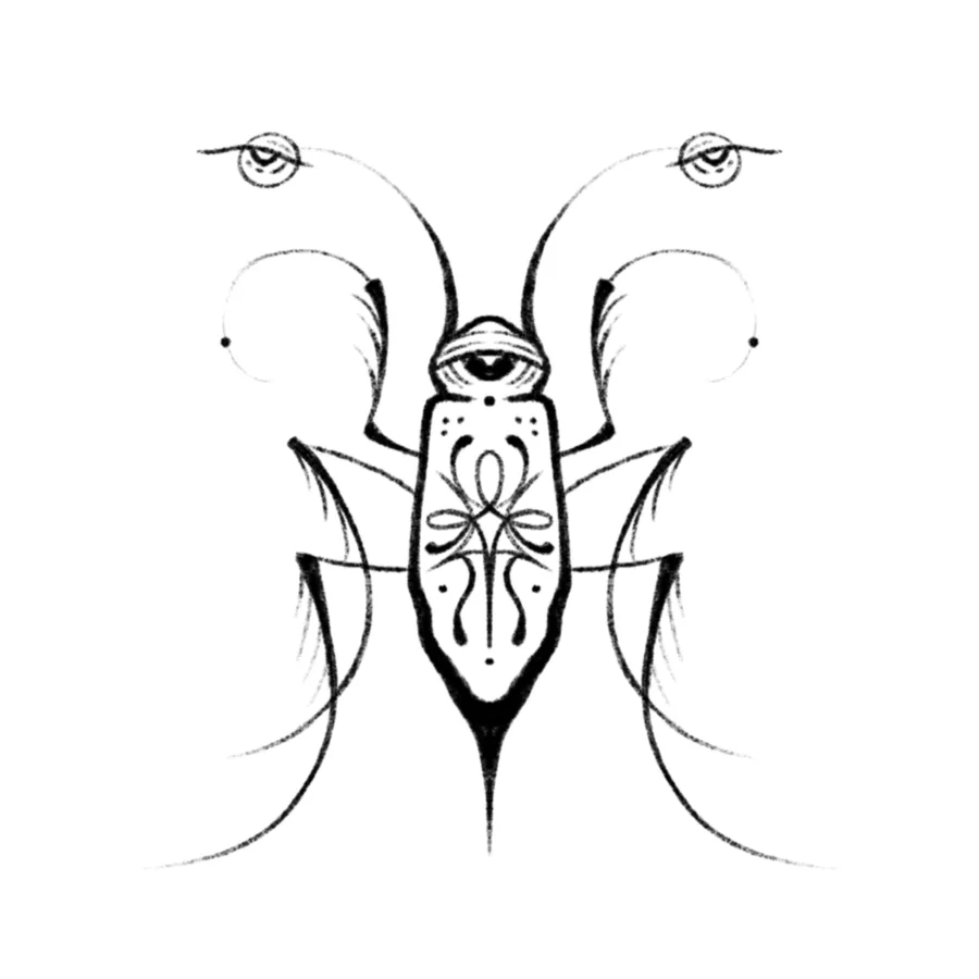 Flash design AN-28