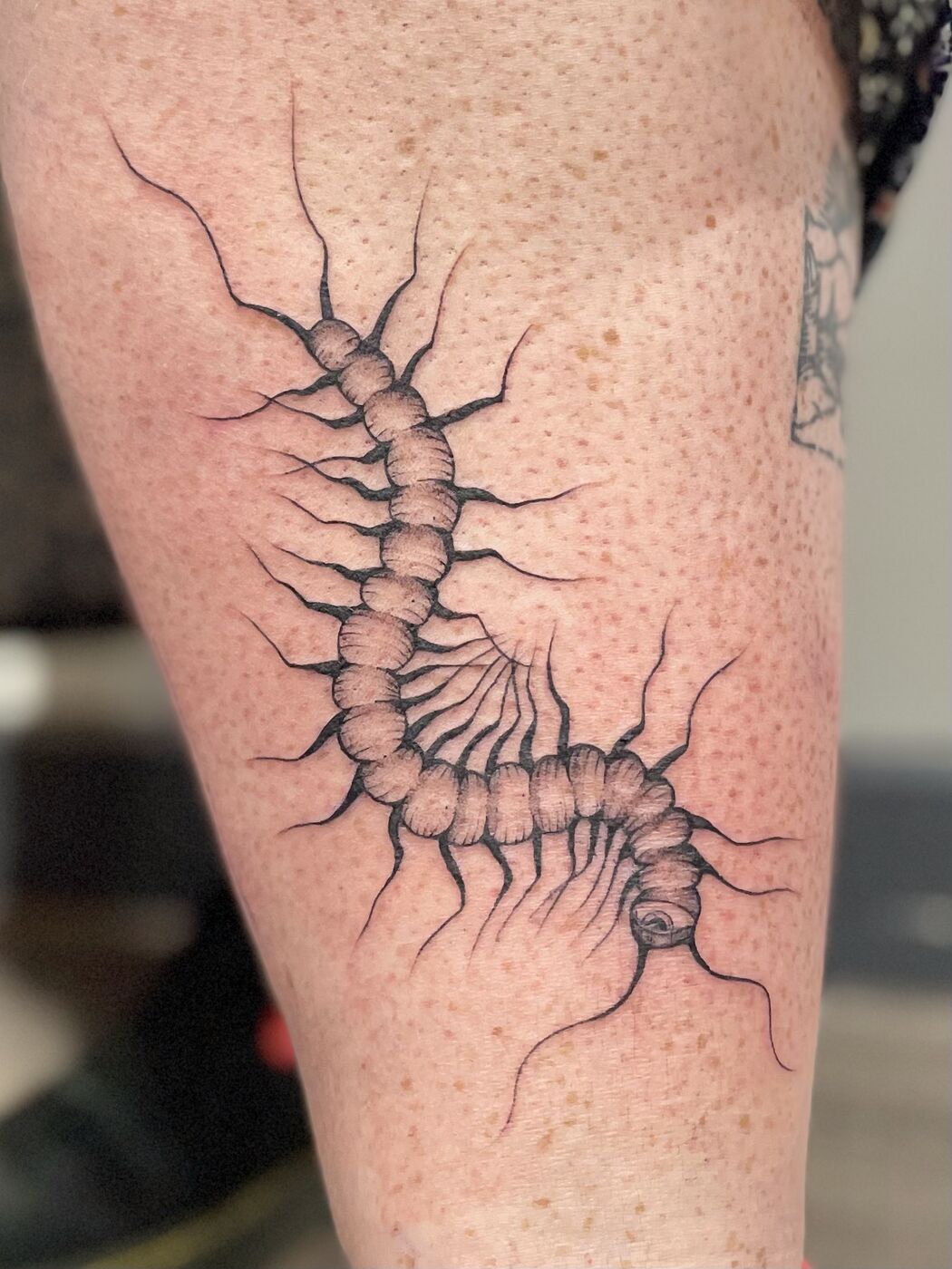 Tattoo by Paula Coronado